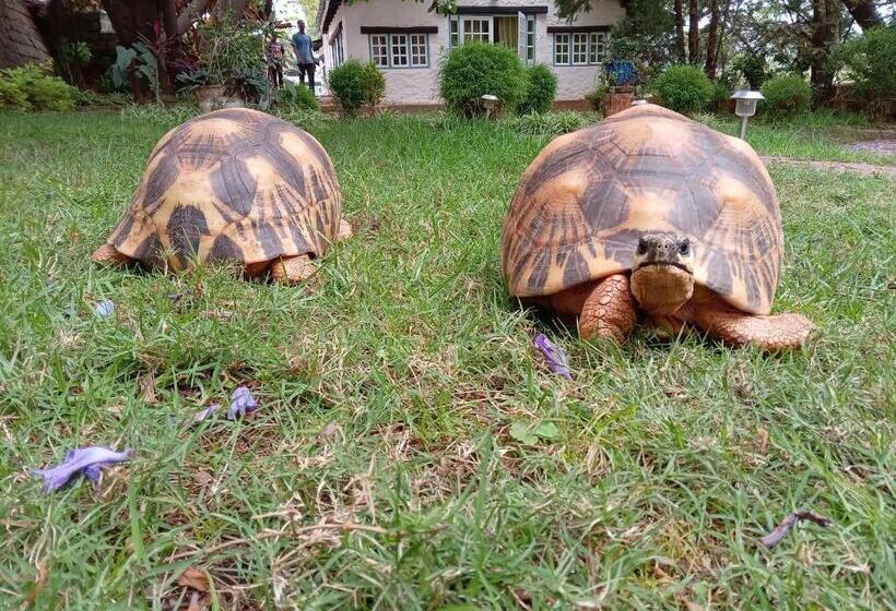 هتل Le Castel Des Seigneurs