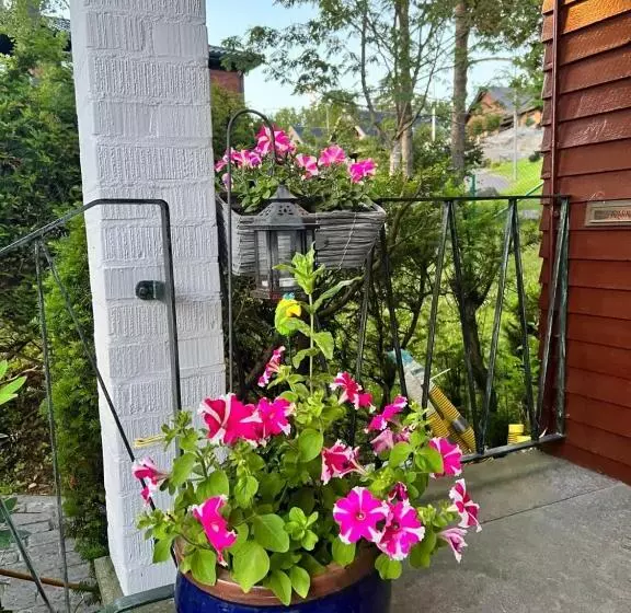 Lugnt Och Centralt Läge