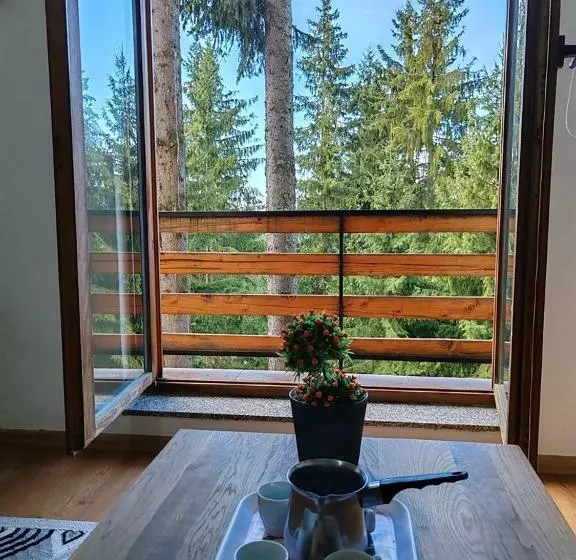 پانسیون Apartments Planinski Raj