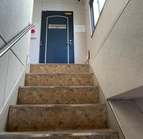 Pensionat Haruka Skytree