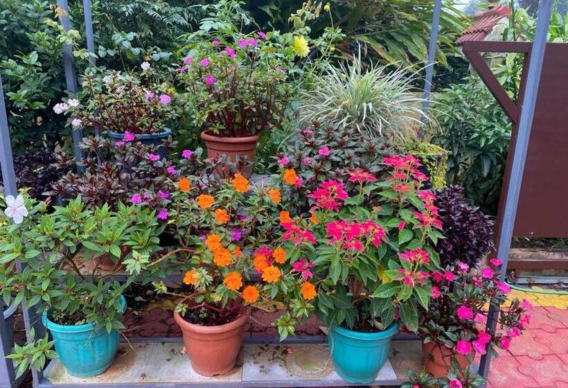 펜션 Heavenly Stay