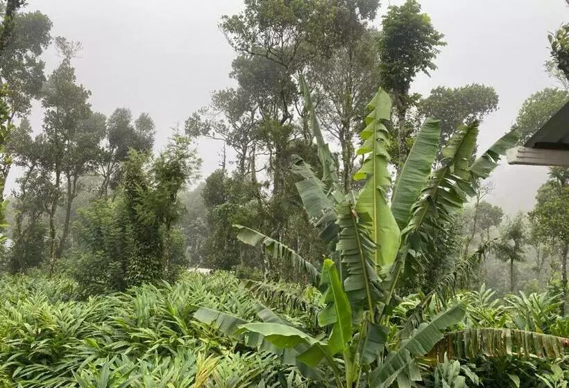 Majatalo Heavenly Stay