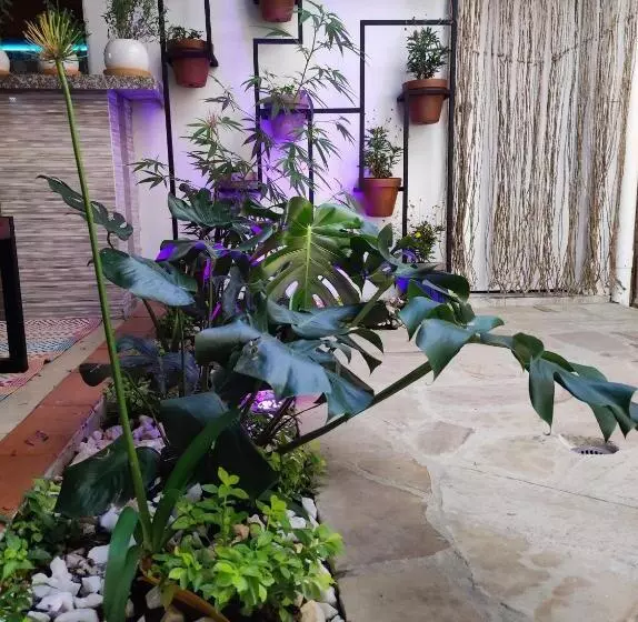 Majatalo Hostal Casablanca