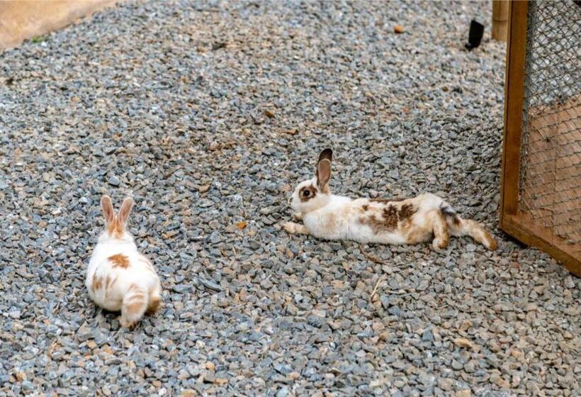 Panzió Zen Medellin Maya