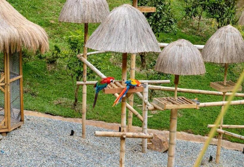 Panzió Zen Medellin Maya