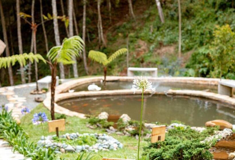 Panzió Zen Medellin Maya