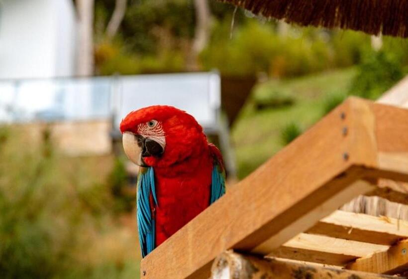Panzió Zen Medellin Maya