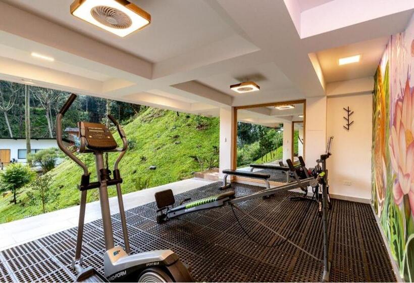 Panzió Zen Medellin Maya