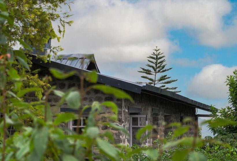 Resort House Of Hive, Gethiya