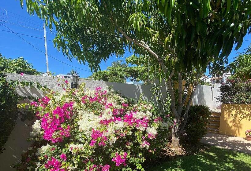 Zandoyo Bed & Breakfast