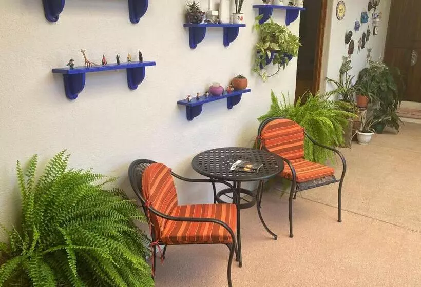 Zandoyo Bed & Breakfast