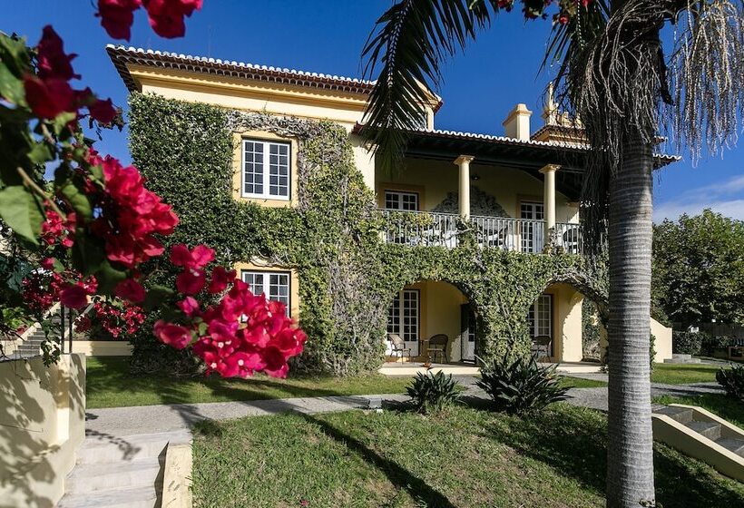 هاستل Casa Portuguesa Charming House