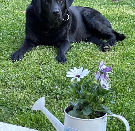 تختخواب و صبحانه Les Persiennes