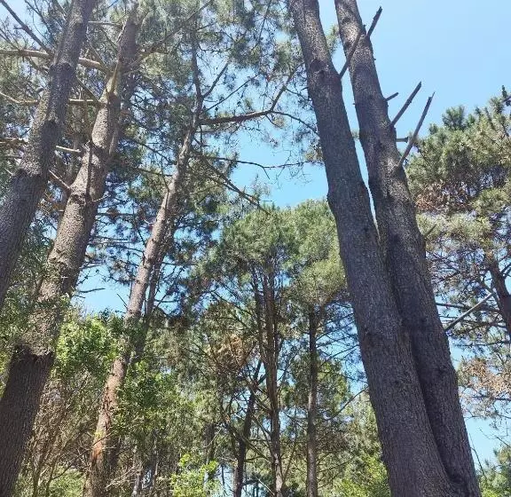 Hotelli Bosque Las Delfinas