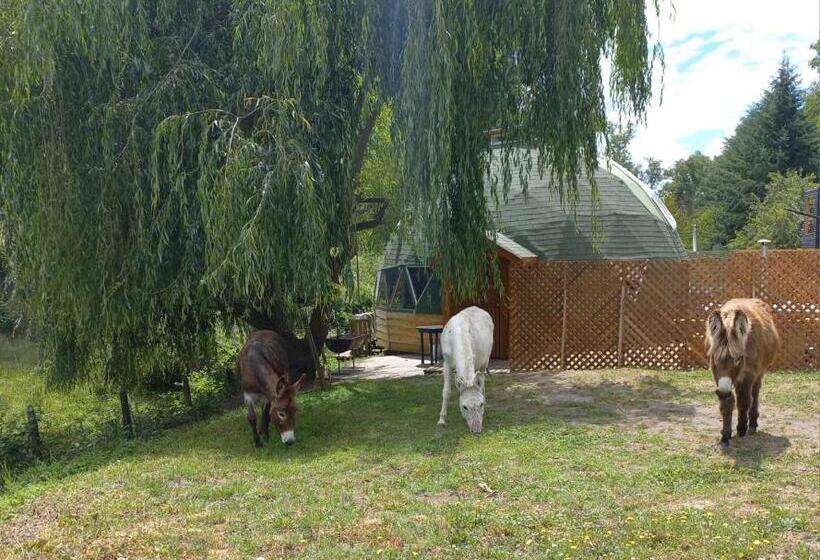 ホテル Domo Geodésico Las Burritas