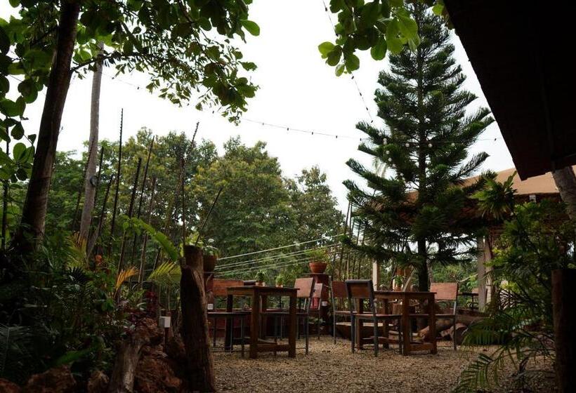 酒店 Terraria Stay And Cafe