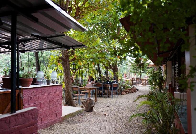 酒店 Terraria Stay And Cafe