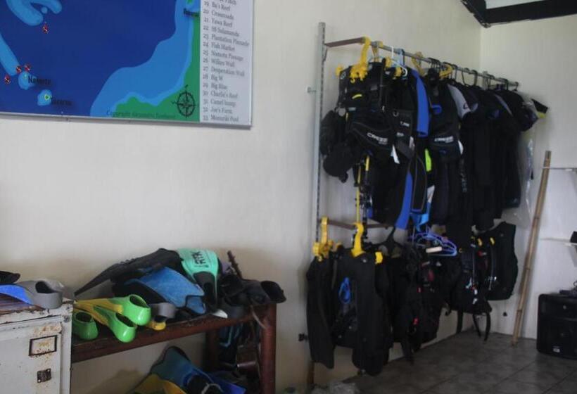 Mana Backpackers And Dive Resort