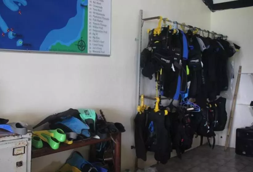 Mana Backpackers And Dive Resort