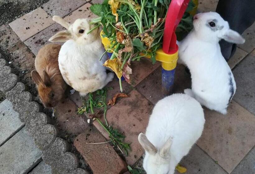 פנסיון 9 Kingyo: You Can See The Japanese Garden From T   Vacation Stay 12822