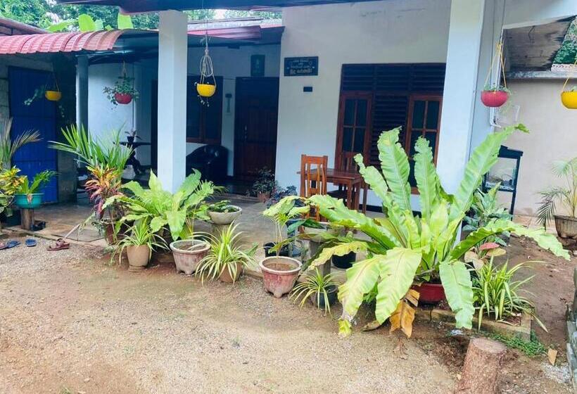 Пансион Grand Freedom Udawalawe