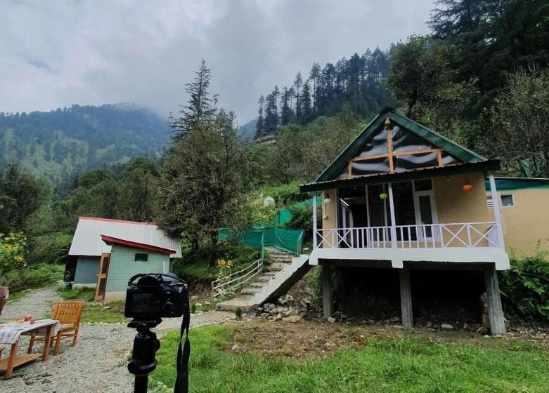 Pensão Thetreehousejibhi