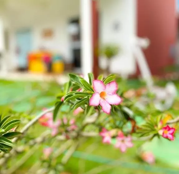 ユースホステル Pousada Villa Egregora