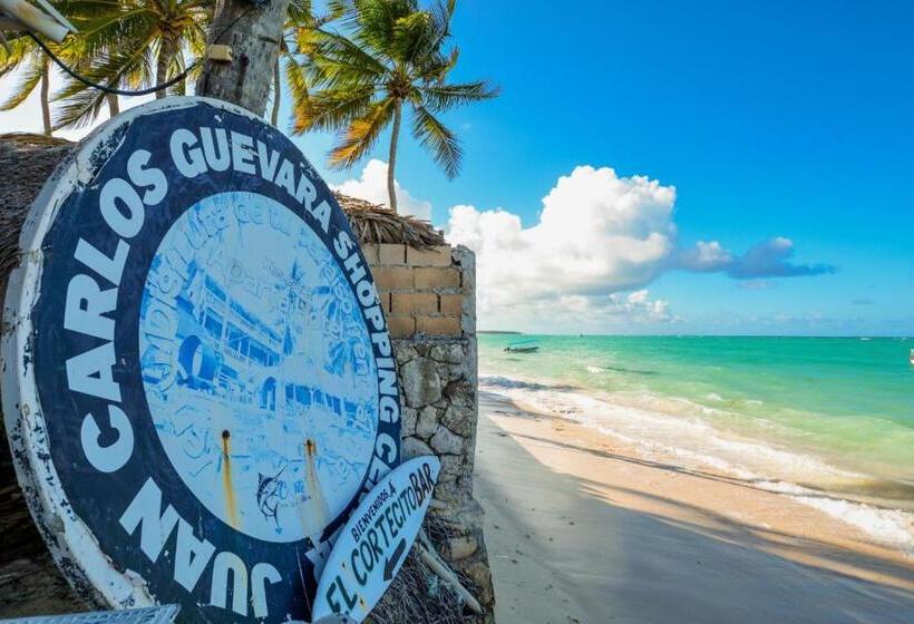 تختخواب و صبحانه Dios Es Fiel Ali