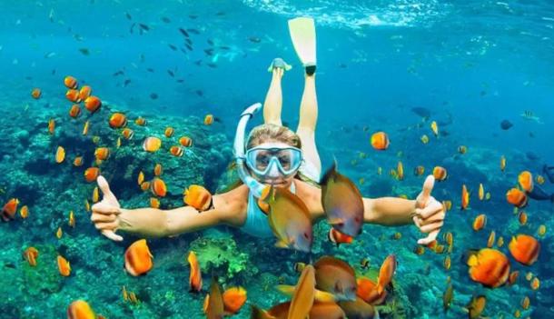 تختخواب و صبحانه Dios Es Fiel Ali