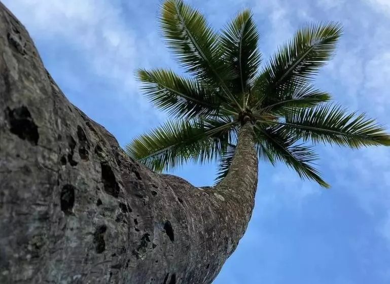 Hotelli Eco Pousada Mentawai