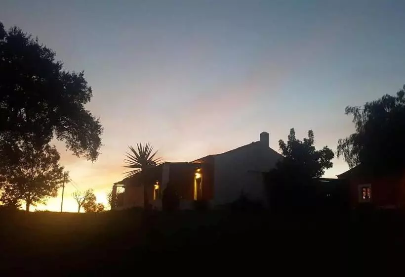 ホテル Herdade Reguenguinho