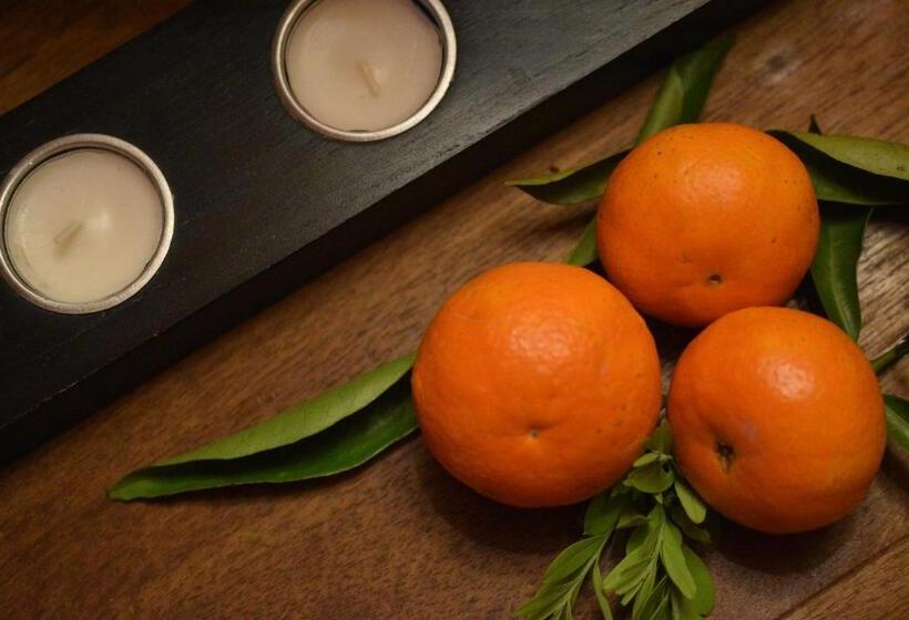 هتل Herdade Reguenguinho