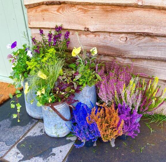 فندق The Original Sleeping Giant Lodge Farm Stay, Meet The Animals