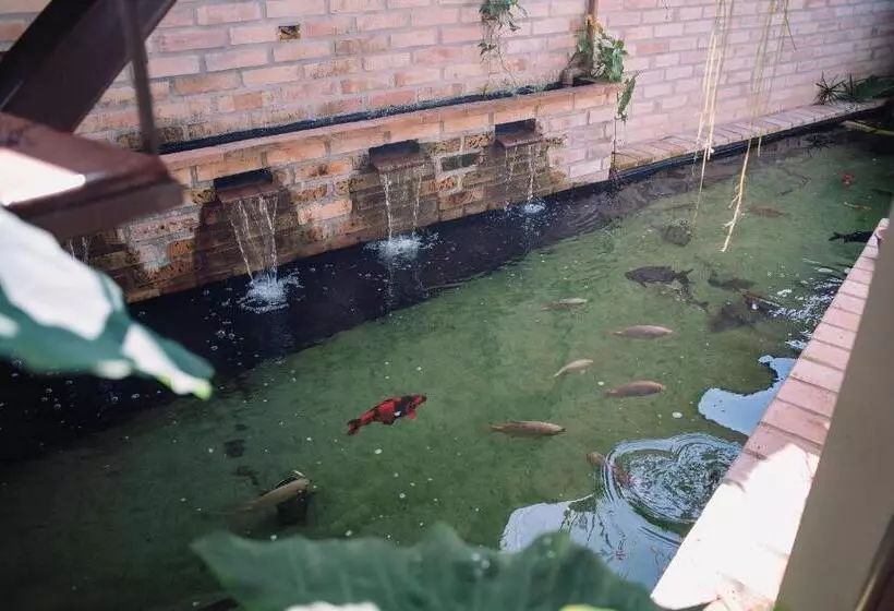 ホテル Studios Em Contêiner No Bosque