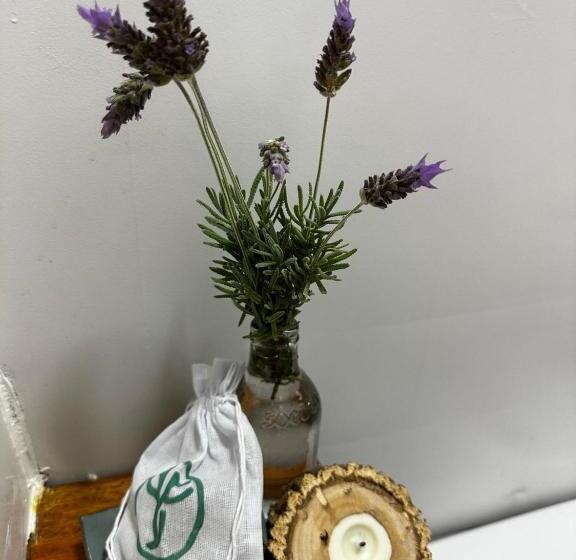 Otel Studios Em Contêiner No Bosque