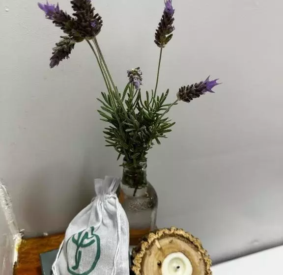 ホテル Studios Em Contêiner No Bosque