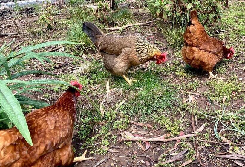 ペンション Crabapple Cabin