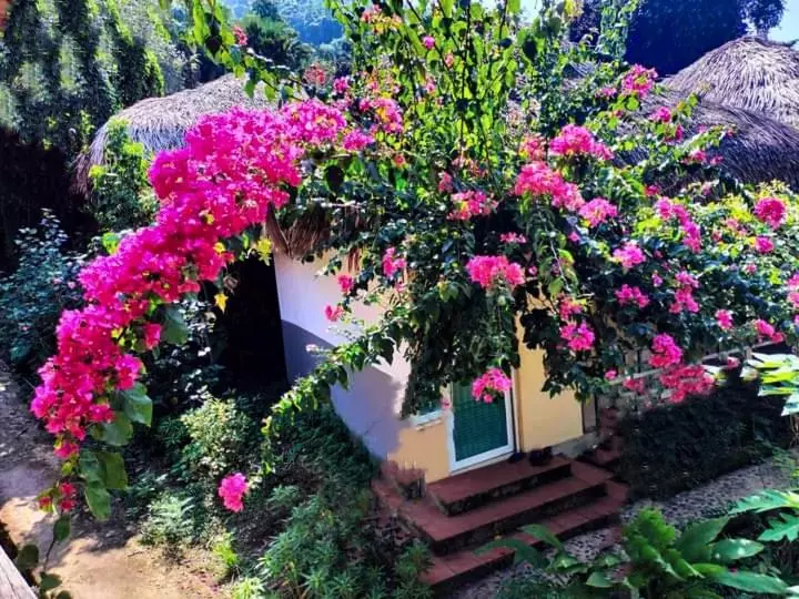 پانسیون Homestay Chung Thúy