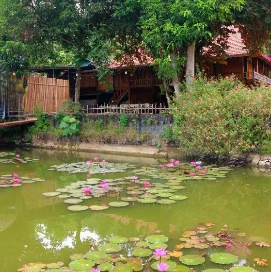 پانسیون Homestay Chung Thúy