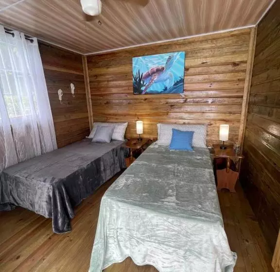 ペンション Ponci’s Gate To Gaia Holistic Center