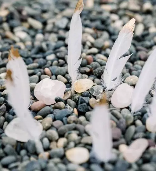 ペンション Ponci’s Gate To Gaia Holistic Center