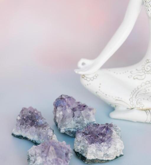 پانسیون Ponci’s Gate To Gaia Holistic Center