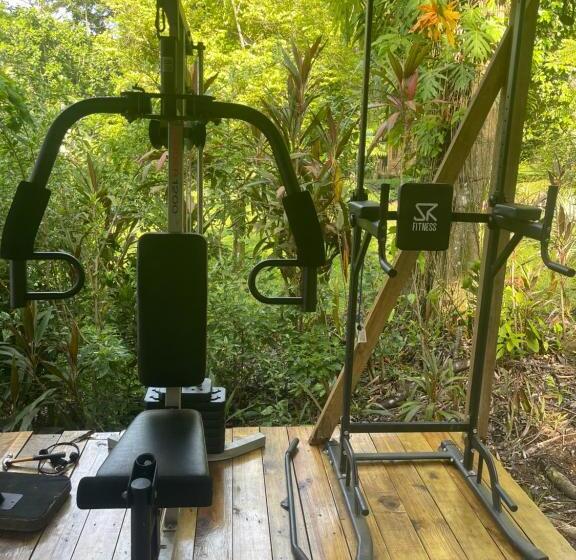 پانسیون Ponci’s Gate To Gaia Holistic Center