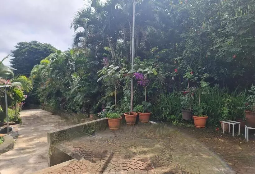 ペンション Quinta San Juan, Lago De Coatepeque