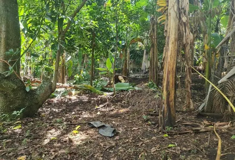 ペンション Quinta San Juan, Lago De Coatepeque