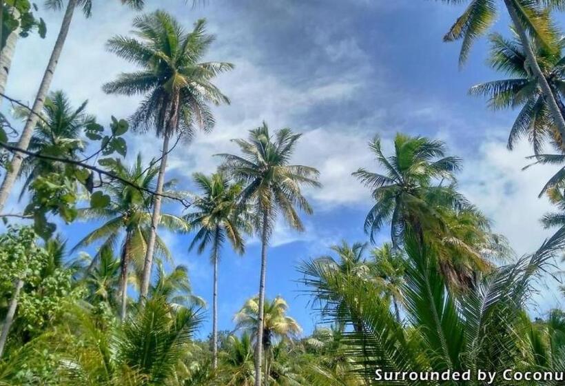 אתר נופש Mansuar Raja Ampat Bungalows