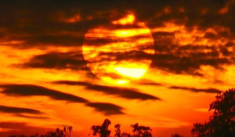 אתר נופש Mansuar Raja Ampat Bungalows