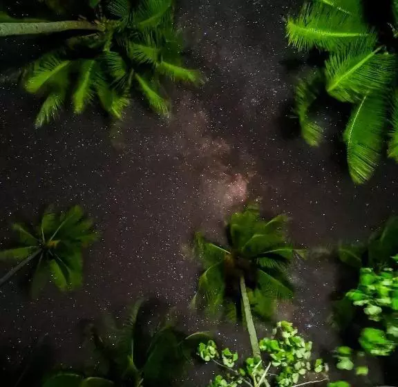 Lomakeskus Mansuar Raja Ampat Bungalows