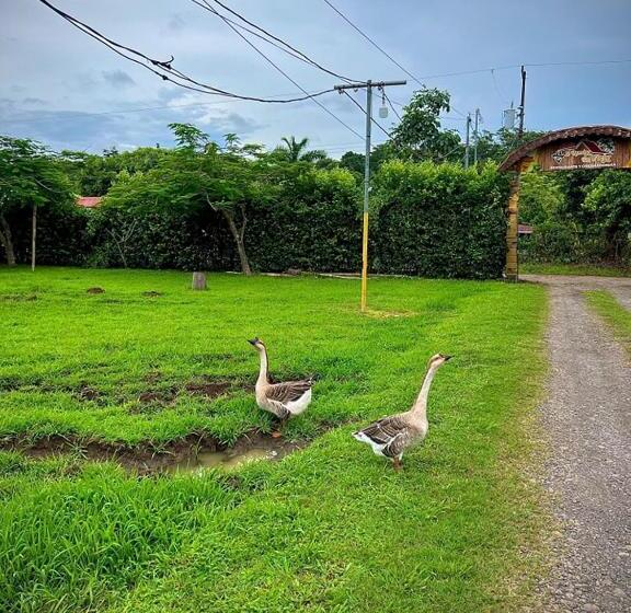 酒店 El Rancho De Viejo