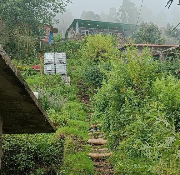 פנסיון Le Cozy Huts